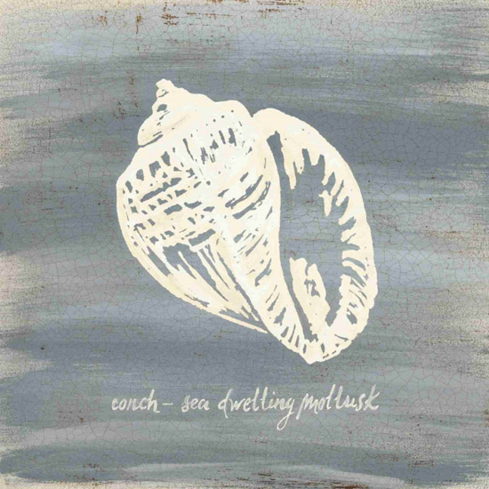 Compatible Still Life for Jahrriesnge conch-lpf00184 Compatible Still Life Jahrriesnge for conch-lpf00184