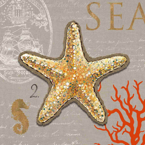 Compatible Still Life for Jahrriesnge starfish-lpf00188 Compatible Still Life Jahrriesnge for starfish-lpf00188