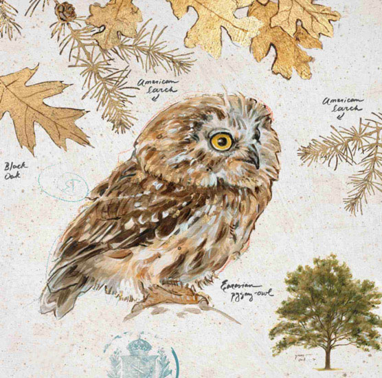 Compatible Still Life for Jahrriesnge owl-lpf00191 Compatible Still Life Jahrriesnge for owl-lpf00191