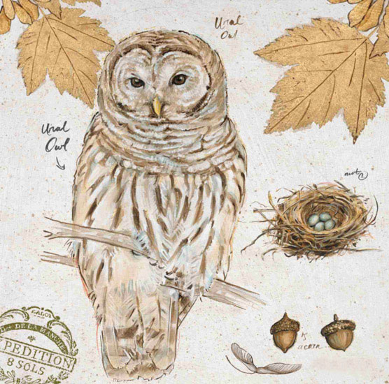 Compatible Still Life for Jahrriesnge owl-lpf00192 Compatible Still Life Jahrriesnge for owl-lpf00192