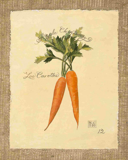 Compatible Still Life for Jahrriesnge carrot-lpf00284 Compatible Still Life Jahrriesnge for carrot-lpf00284