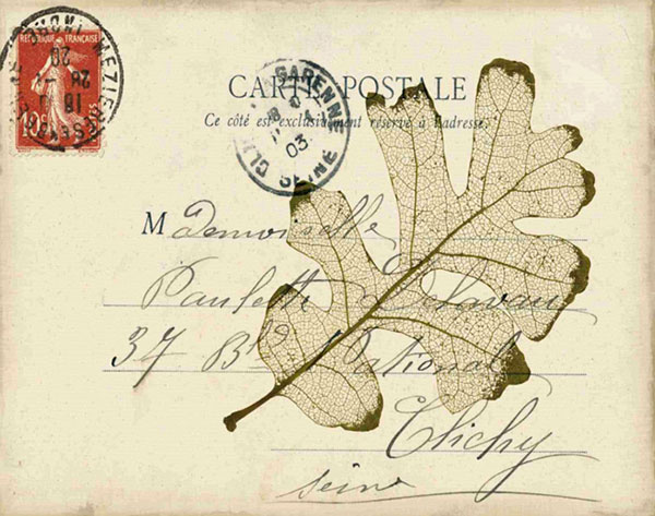 Compatible Still Life for Jahrriesnge leaf-lpf00487 Compatible Still Life Jahrriesnge for leaf-lpf00487