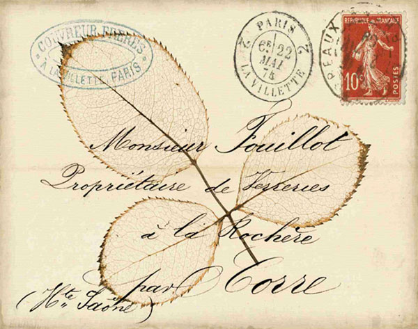 Compatible Still Life for Jahrriesnge leaf-lpf00489 Compatible Still Life Jahrriesnge for leaf-lpf00489