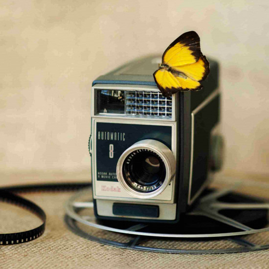 Compatible Still Life for Jahrriesnge untitle-lpf00524 Compatible Still Life Jahrriesnge for untitle-lpf00524