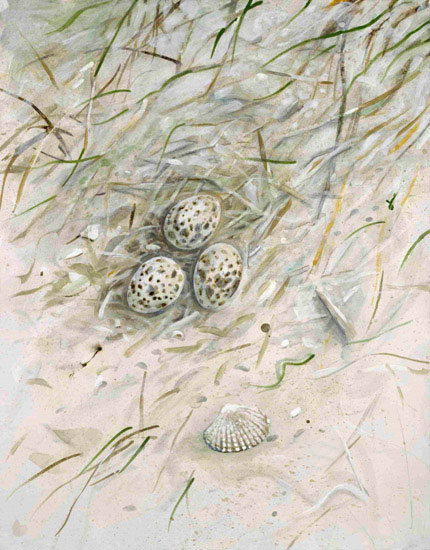 Compatible Landscape for JAHRRIESNGE shell-lpf00861 Compatible Landscape JAHRRIESNGE for shell-lpf00861