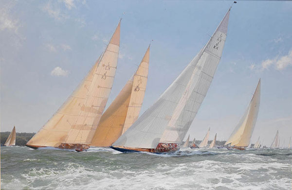 Compatible Landscape Jahrriesnge  for sea-lpf01946 