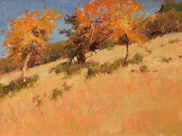 Compatible Landscape for JAHRRIESNGE tree-lpf02032 Compatible Landscape JAHRRIESNGE for tree-lpf02032