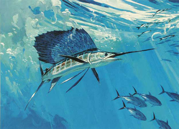 Compatible Animals for Jahrriesnge fish-lpf02519 Compatible Animals Jahrriesnge for fish-lpf02519