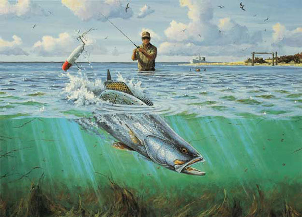 Compatible Animals for Jahrriesnge fish-lpf02521 Compatible Animals Jahrriesnge for fish-lpf02521