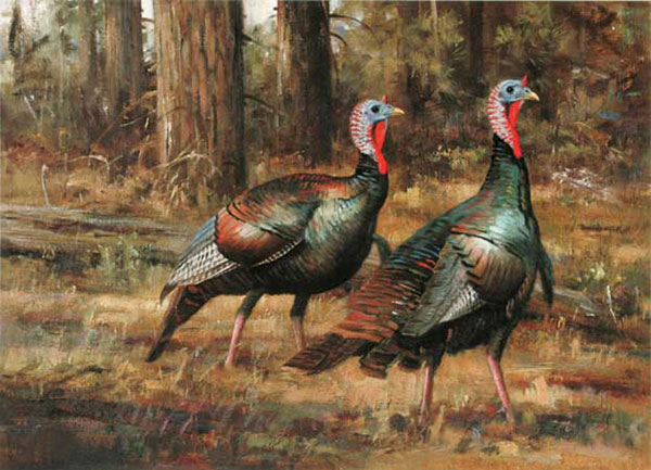 Compatible Animals for Jahrriesnge Turkey-lpf02526 Compatible Animals Jahrriesnge for Turkey-lpf02526