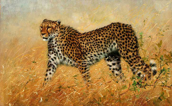 Compatible Animals for Jahrriesnge leopard-lpf02538 Compatible Animals Jahrriesnge for leopard-lpf02538