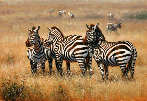 Compatible Animals for Jahrriesnge African-Zebra-lpf02545 Compatible Animals Jahrriesnge for African-Zebra-lpf02545