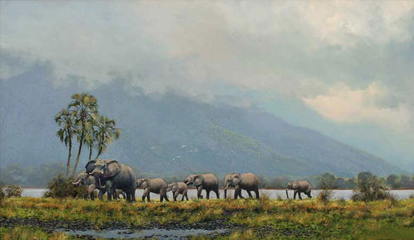 Compatible Animals for Jahrriesnge elephant-lpf02556 Compatible Animals Jahrriesnge for elephant-lpf02556