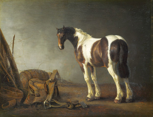 Compatible Animals for Jahrriesnge horse-lpf02580 Compatible Animals Jahrriesnge for horse-lpf02580