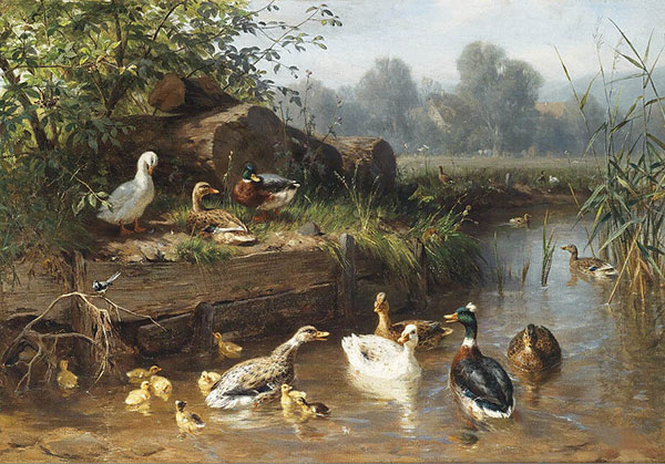 Compatible Animals for Jahrriesnge duck-lpf02588 Compatible Animals Jahrriesnge for duck-lpf02588