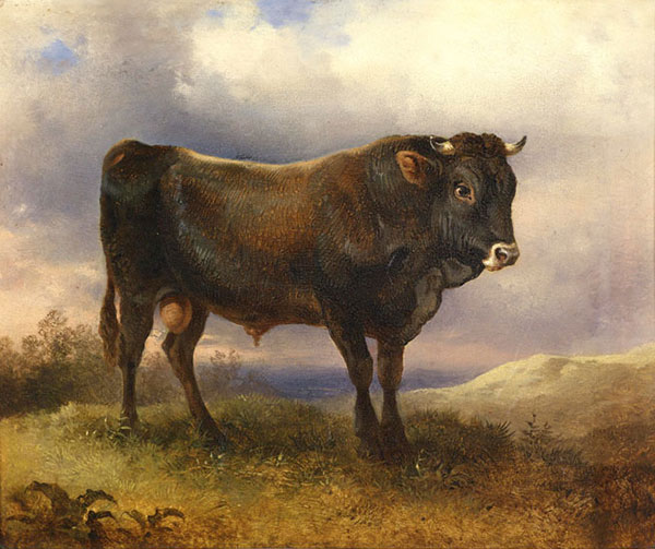 Compatible Animals for Jahrriesnge Angus-cattle-lpf02596 Compatible Animals Jahrriesnge for Angus-cattle-lpf02596