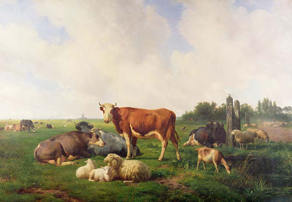 Compatible Animals for Jahrriesnge simmental-lpf02602 Compatible Animals Jahrriesnge for simmental-lpf02602