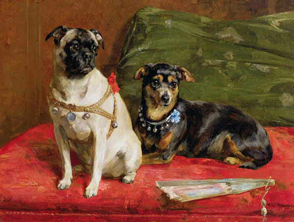 Compatible Animals for Jahrriesnge dog-lpf02631 Compatible Animals Jahrriesnge for dog-lpf02631