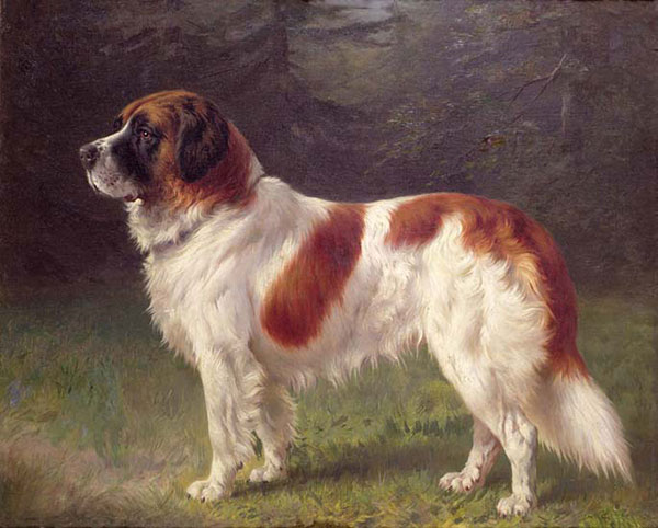 Compatible Animals for Jahrriesnge dog-lpf02635 Compatible Animals Jahrriesnge for dog-lpf02635