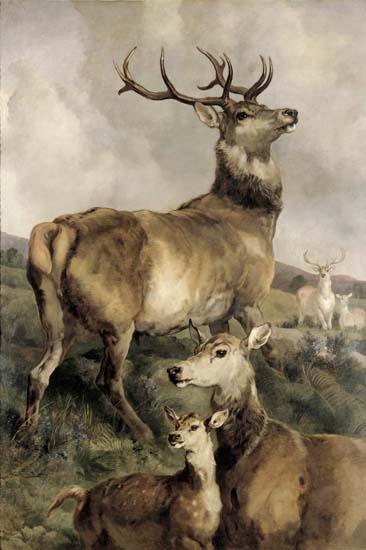 Compatible Animals for Jahrriesnge mammals-lpf02656 Compatible Animals Jahrriesnge for mammals-lpf02656