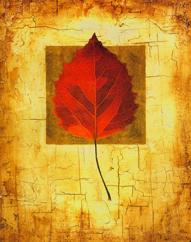 Compatible Floral for JAHRRIESNGE leaf lpf04635 Compatible Floral JAHRRIESNGE for leaf lpf04635