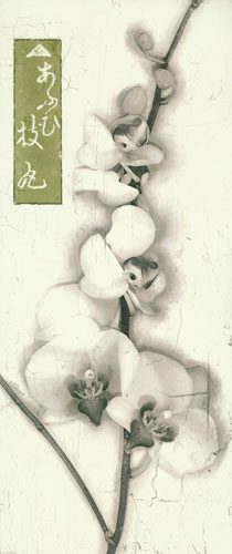 Compatible Floral for JAHRRIESNGE flowers lpf04654 Compatible Floral JAHRRIESNGE for flowers lpf04654