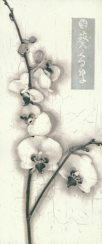 Compatible Floral for JAHRRIESNGE flowers lpf04655 Compatible Floral JAHRRIESNGE for flowers lpf04655