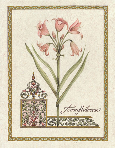 Compatible Floral for Jahrriesnge flower lpf04735 Compatible Floral Jahrriesnge for flower lpf04735