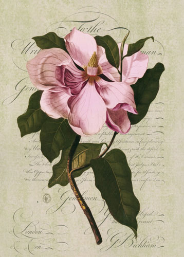 Compatible Floral for JAHRRIESNGE flowers lpf04758 Compatible Floral JAHRRIESNGE for flowers lpf04758