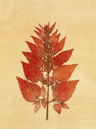 Compatible Floral for JAHRRIESNGE flowers lpf04759 Compatible Floral JAHRRIESNGE for flowers lpf04759