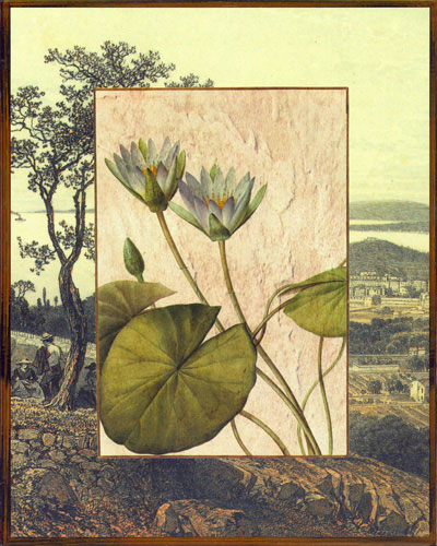 Compatible Floral for JAHRRIESNGE flowers lpf04828 Compatible Floral JAHRRIESNGE for flowers lpf04828