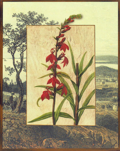 Compatible Floral for JAHRRIESNGE flowers lpf04830 Compatible Floral JAHRRIESNGE for flowers lpf04830