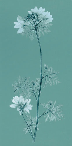 Compatible Floral for JAHRRIESNGE flowers lpf04841 Compatible Floral JAHRRIESNGE for flowers lpf04841