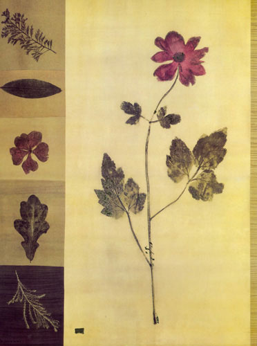 Compatible Floral for JAHRRIESNGE flowers lpf04864 Compatible Floral JAHRRIESNGE for flowers lpf04864