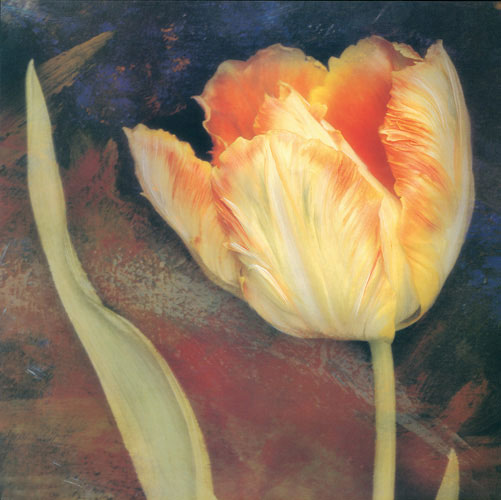 Compatible Floral for JAHRRIESNGE flowers lpf05247 Compatible Floral JAHRRIESNGE for flowers lpf05247