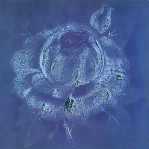 Compatible Floral for JAHRRIESNGE flowers lpf05269 Compatible Floral JAHRRIESNGE for flowers lpf05269