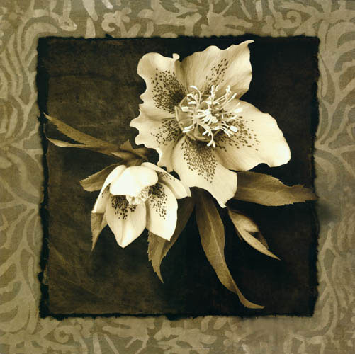 Compatible Floral for JAHRRIESNGE flowers lpf05471 Compatible Floral JAHRRIESNGE for flowers lpf05471