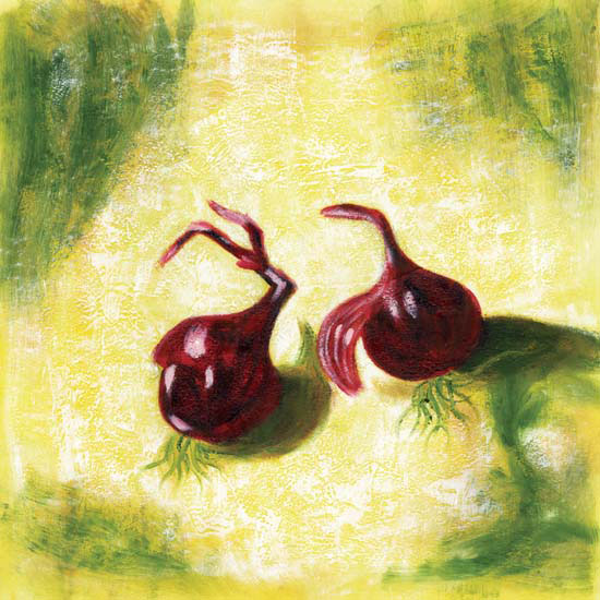 Compatible Floral for JAHRRIESNGE seed lpf05545 Compatible Floral JAHRRIESNGE for seed lpf05545