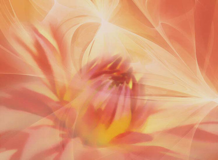 Compatible Abstract for Jahrriesnge colorful-lpf05649 Compatible Abstract Jahrriesnge for colorful-lpf05649