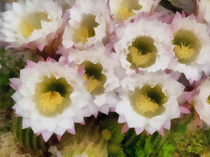 Compatible Abstract for Jahrriesnge colorful-lpf05913 Compatible Abstract Jahrriesnge for colorful-lpf05913