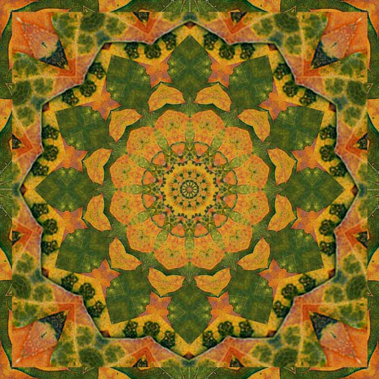 Compatible Abstract for Jahrriesnge colorful-lpf06363 Compatible Abstract Jahrriesnge for colorful-lpf06363