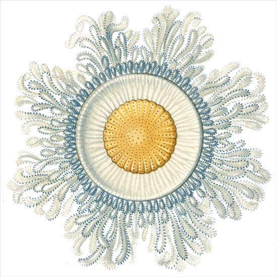 Compatible Abstract for Jahrriesnge colorful-lpf06395 Compatible Abstract Jahrriesnge for colorful-lpf06395