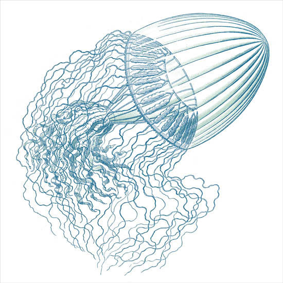 Compatible Abstract for Jahrriesnge colorful-lpf06397 Compatible Abstract Jahrriesnge for colorful-lpf06397