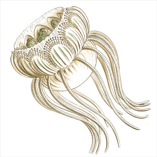 Compatible Abstract for Jahrriesnge colorful-lpf06398 Compatible Abstract Jahrriesnge for colorful-lpf06398