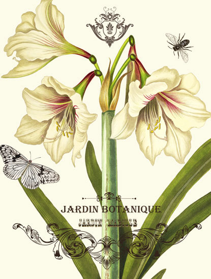 Compatible Floral for JAHRRIESNGE flowers-lpf06634 Compatible Floral JAHRRIESNGE for flowers-lpf06634