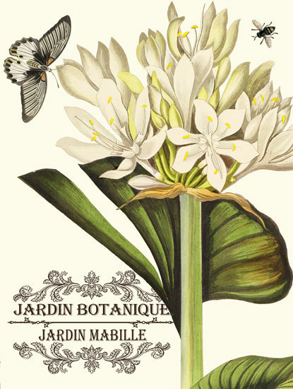 Compatible Floral for JAHRRIESNGE flowers-lpf06636 Compatible Floral JAHRRIESNGE for flowers-lpf06636