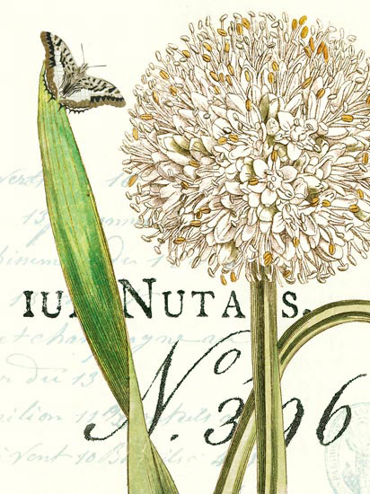 Compatible Floral for JAHRRIESNGE flowers-lpf06637 Compatible Floral JAHRRIESNGE for flowers-lpf06637