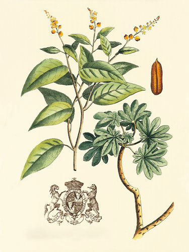 Compatible Floral for JAHRRIESNGE flowers-lpf06641 Compatible Floral JAHRRIESNGE for flowers-lpf06641