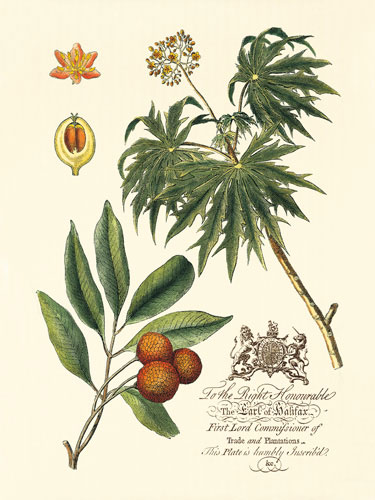 Compatible Floral for JAHRRIESNGE flowers-lpf06642 Compatible Floral JAHRRIESNGE for flowers-lpf06642