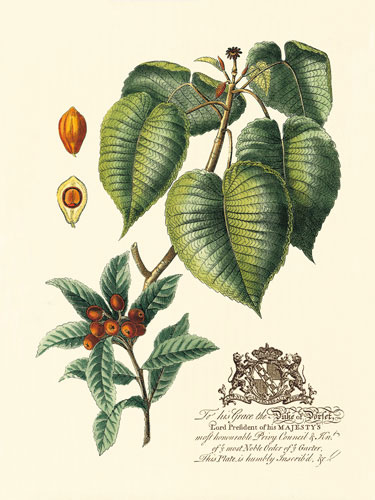 Compatible Floral for JAHRRIESNGE flowers-lpf06643 Compatible Floral JAHRRIESNGE for flowers-lpf06643